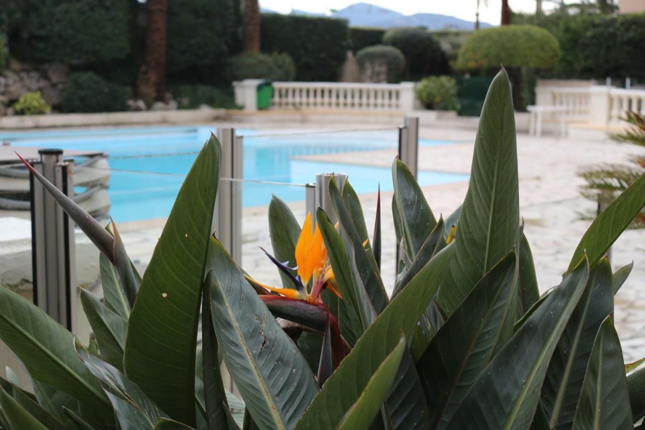 Appartement Palm D'Azur Cannes Esterno foto